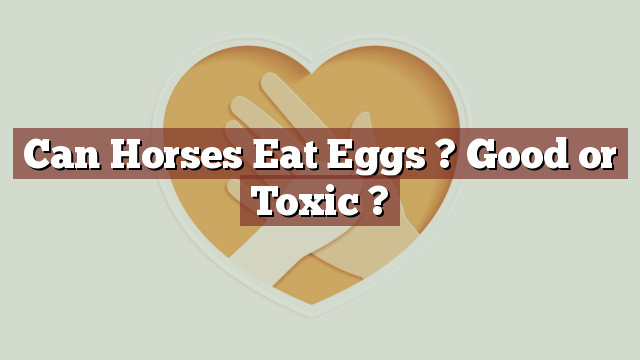 Can Horses Eat Eggs ? Good or Toxic ?