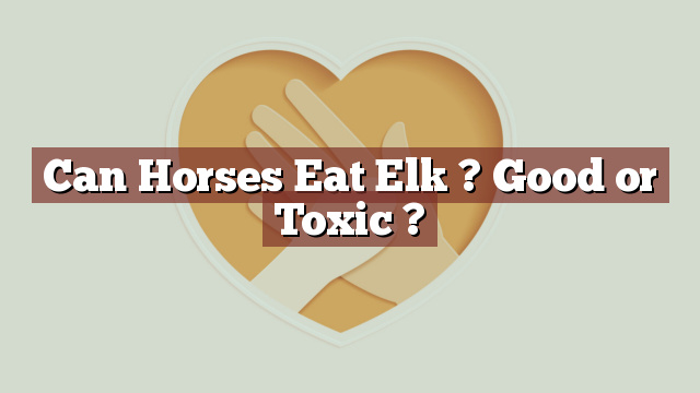 Can Horses Eat Elk ? Good or Toxic ?