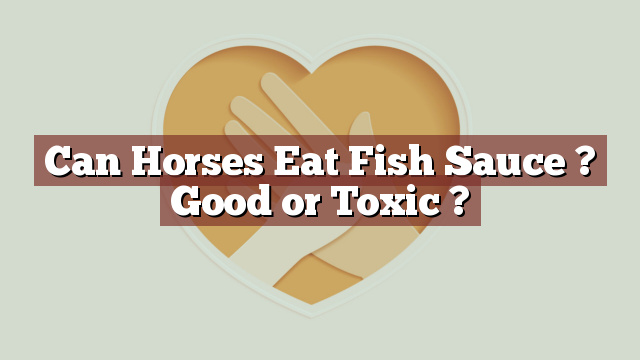 Can Horses Eat Fish Sauce ? Good or Toxic ?