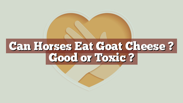 Can Horses Eat Goat Cheese ? Good or Toxic ?