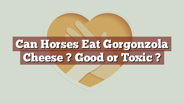 Can Horses Eat Gorgonzola Cheese ? Good or Toxic ?
