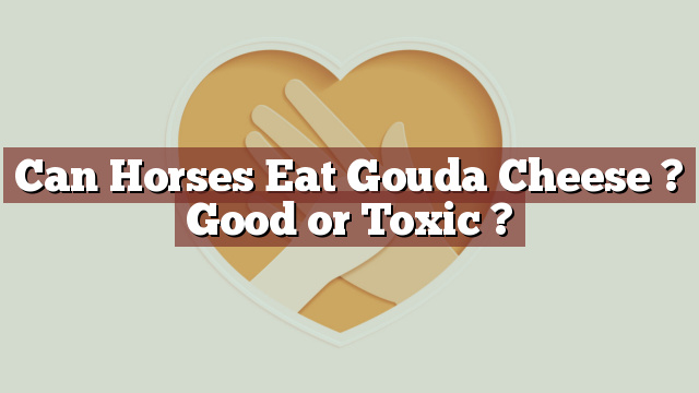 Can Horses Eat Gouda Cheese ? Good or Toxic ?