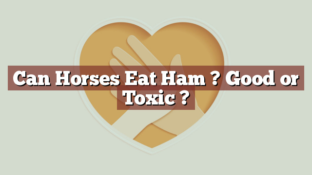 Can Horses Eat Ham ? Good or Toxic ?