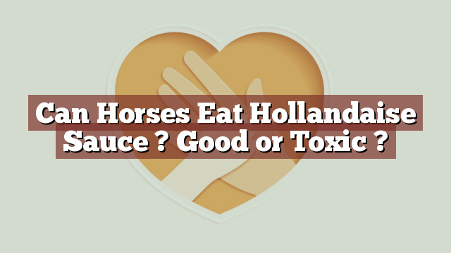 Can Horses Eat Hollandaise Sauce ? Good or Toxic ?