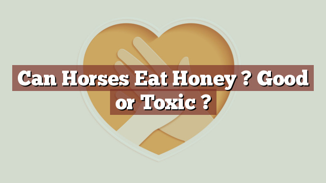 Can Horses Eat Honey ? Good or Toxic ?