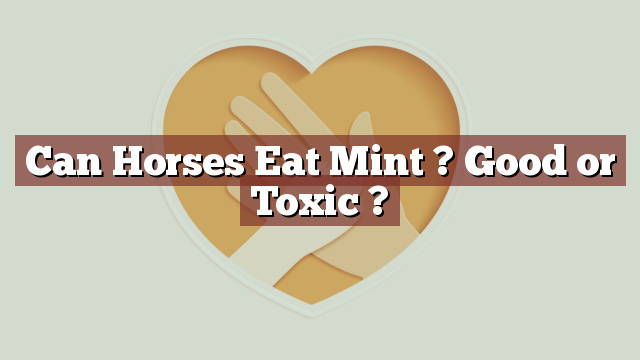 Can Horses Eat Mint ? Good or Toxic ?