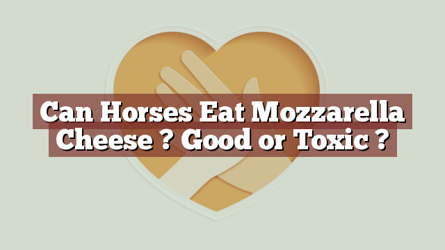 Can Horses Eat Mozzarella Cheese ? Good or Toxic ?