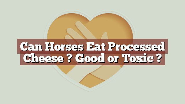 Can Horses Eat Processed Cheese ? Good or Toxic ?