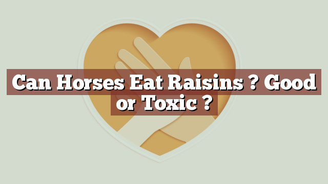 Can Horses Eat Raisins ? Good or Toxic ?