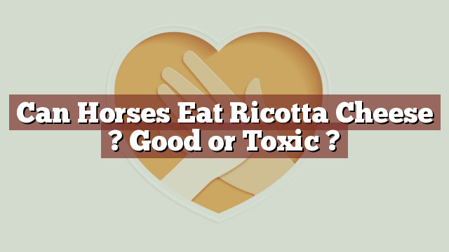 Can Horses Eat Ricotta Cheese ? Good or Toxic ?