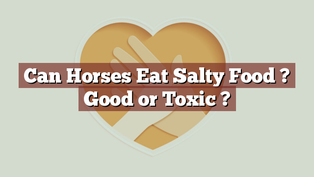Can Horses Eat Salty Food ? Good or Toxic ?