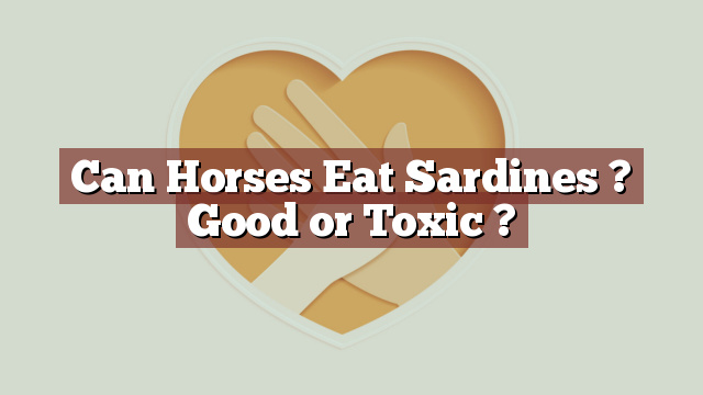 Can Horses Eat Sardines ? Good or Toxic ?