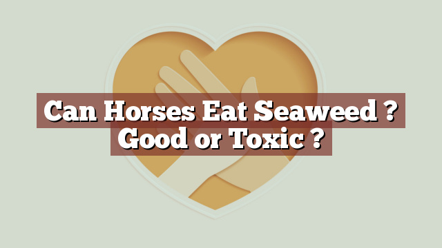 Can Horses Eat Seaweed ? Good or Toxic ?