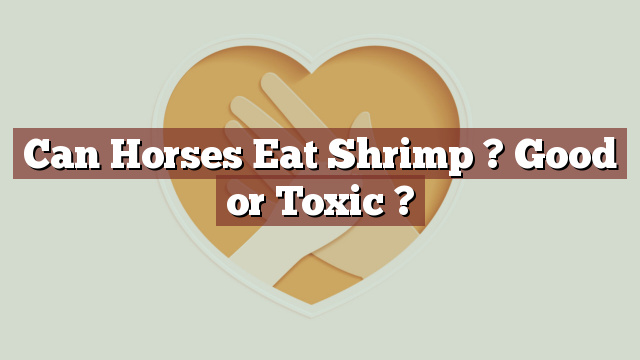 Can Horses Eat Shrimp ? Good or Toxic ?