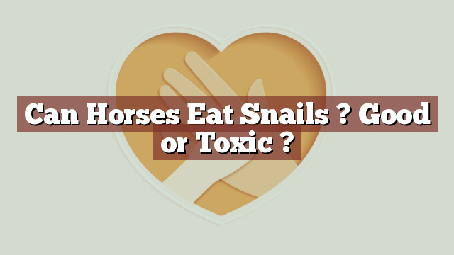 Can Horses Eat Snails ? Good or Toxic ?