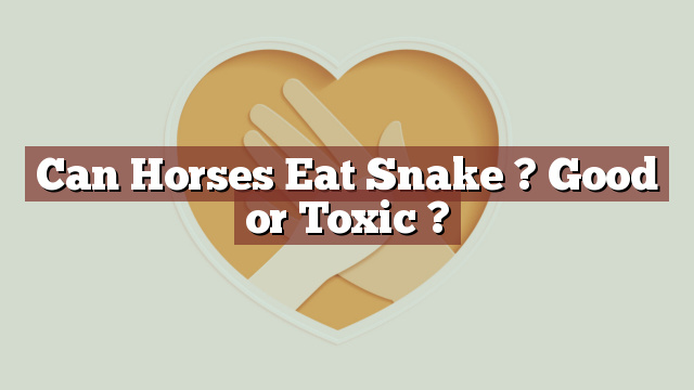 Can Horses Eat Snake ? Good or Toxic ?