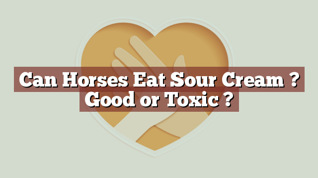 Can Horses Eat Sour Cream ? Good or Toxic ?