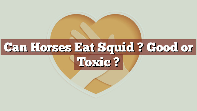 Can Horses Eat Squid ? Good or Toxic ?