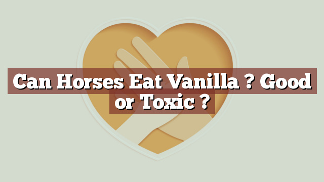 Can Horses Eat Vanilla ? Good or Toxic ?