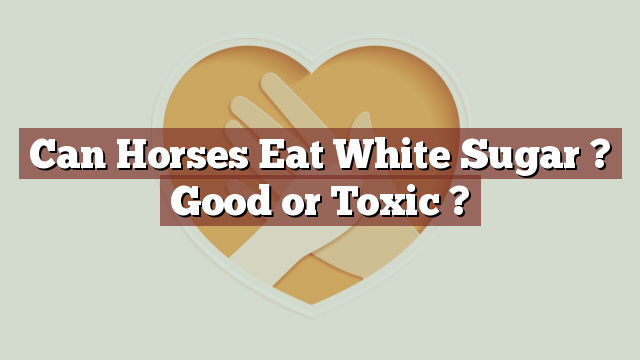 Can Horses Eat White Sugar ? Good or Toxic ?
