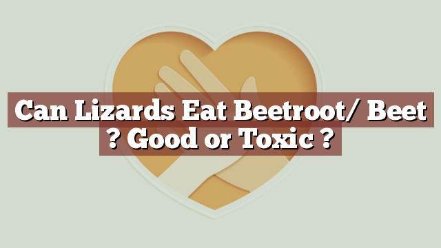 Can Lizards Eat Beetroot/ Beet ? Good or Toxic ?
