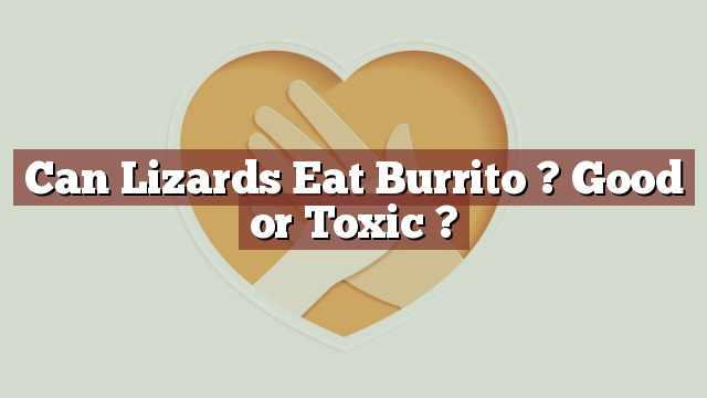 Can Lizards Eat Burrito ? Good or Toxic ?