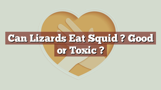 Can Lizards Eat Squid ? Good or Toxic ?
