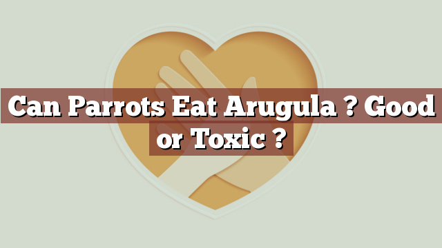 Can Parrots Eat Arugula ? Good or Toxic ?