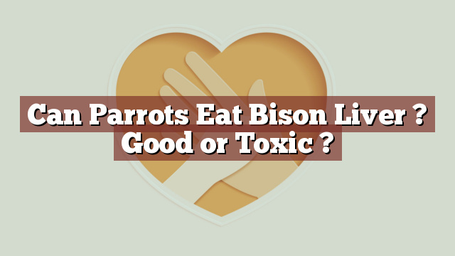 Can Parrots Eat Bison Liver ? Good or Toxic ?