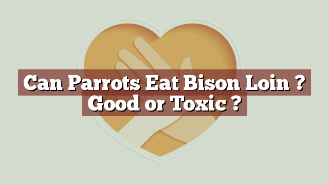Can Parrots Eat Bison Loin ? Good or Toxic ?