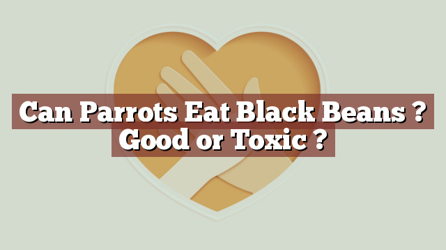 Can Parrots Eat Black Beans ? Good or Toxic ?