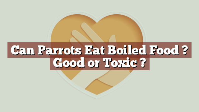 Can Parrots Eat Boiled Food ? Good or Toxic ?