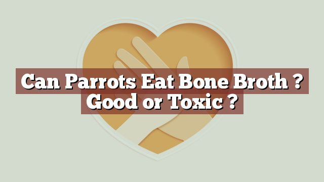 Can Parrots Eat Bone Broth ? Good or Toxic ?