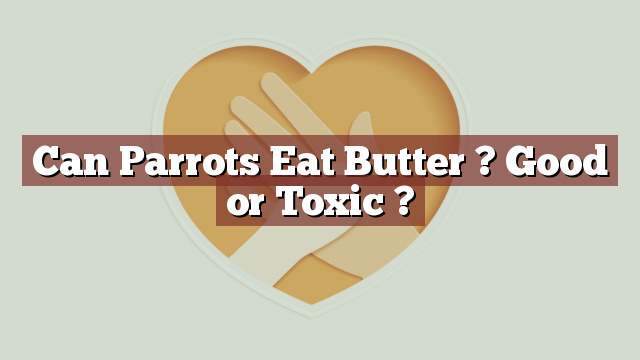 Can Parrots Eat Butter ? Good or Toxic ?