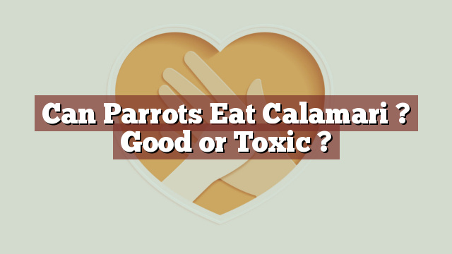 Can Parrots Eat Calamari ? Good or Toxic ?