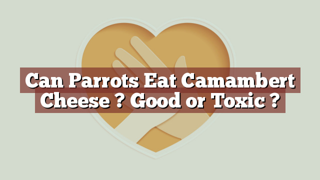 Can Parrots Eat Camambert Cheese ? Good or Toxic ?