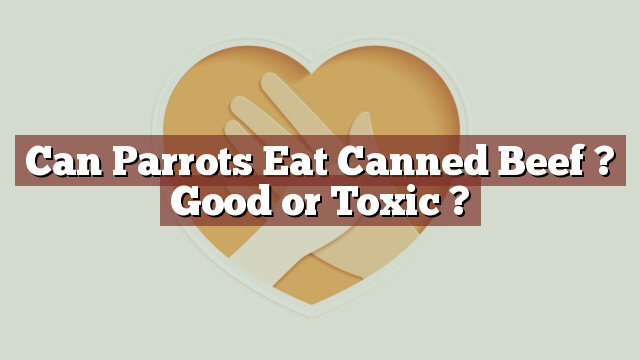 Can Parrots Eat Canned Beef ? Good or Toxic ?