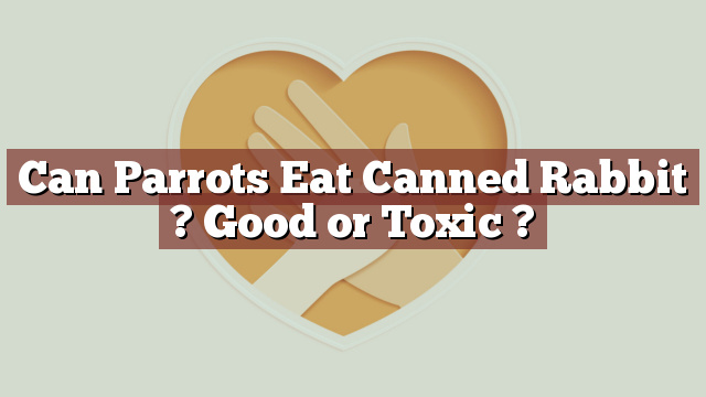 Can Parrots Eat Canned Rabbit ? Good or Toxic ?