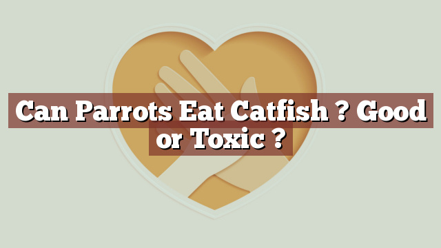 Can Parrots Eat Catfish ? Good or Toxic ?