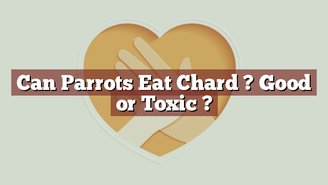 Can Parrots Eat Chard ? Good or Toxic ?