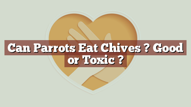 Can Parrots Eat Chives ? Good or Toxic ?