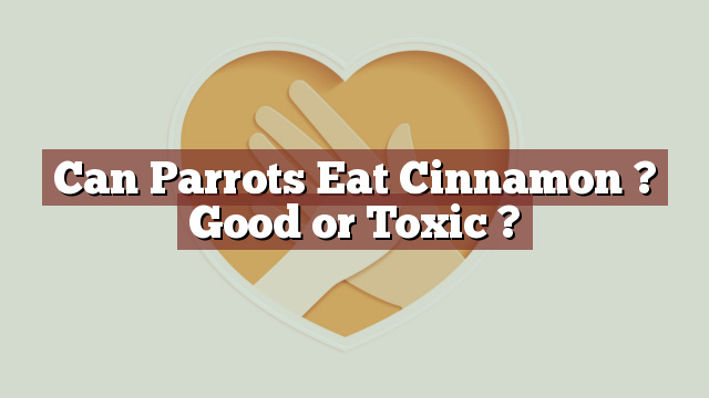 Can Parrots Eat Cinnamon ? Good or Toxic ?