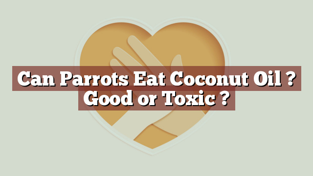 Can Parrots Eat Coconut Oil ? Good or Toxic ?