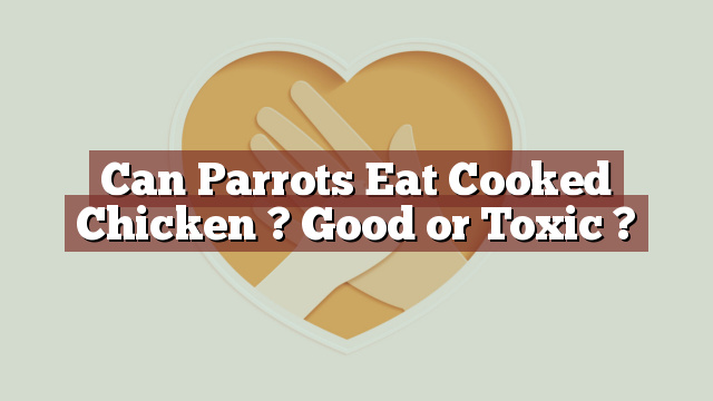 Can Parrots Eat Cooked Chicken ? Good or Toxic ?
