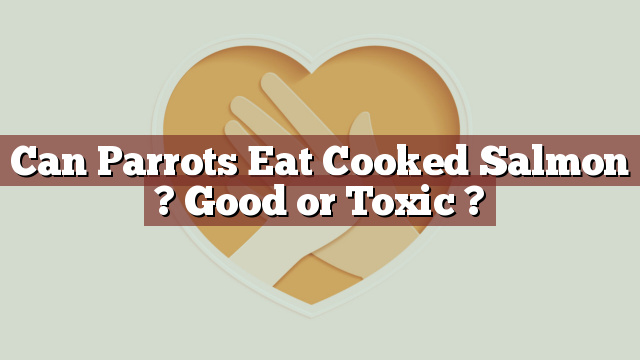 Can Parrots Eat Cooked Salmon ? Good or Toxic ?