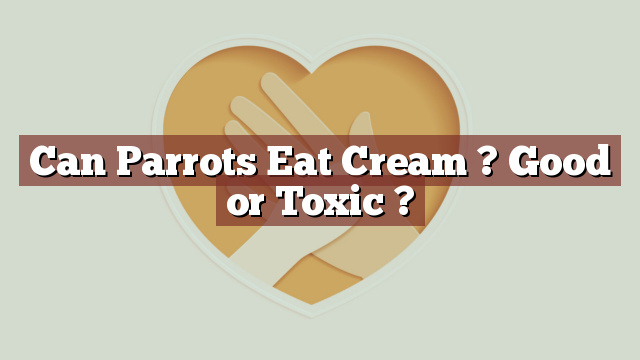 Can Parrots Eat Cream ? Good or Toxic ?