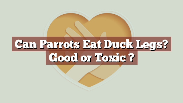 Can Parrots Eat Duck Legs? Good or Toxic ?