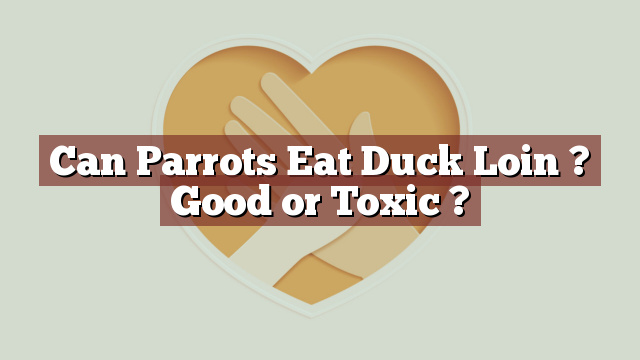 Can Parrots Eat Duck Loin ? Good or Toxic ?