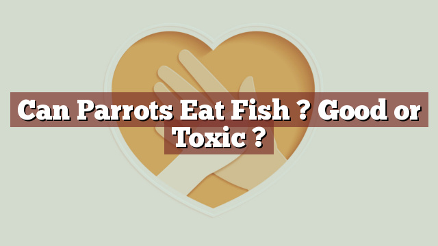 Can Parrots Eat Fish ? Good or Toxic ?