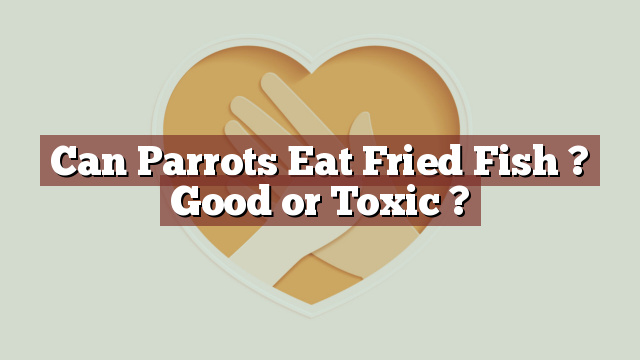 Can Parrots Eat Fried Fish ? Good or Toxic ?